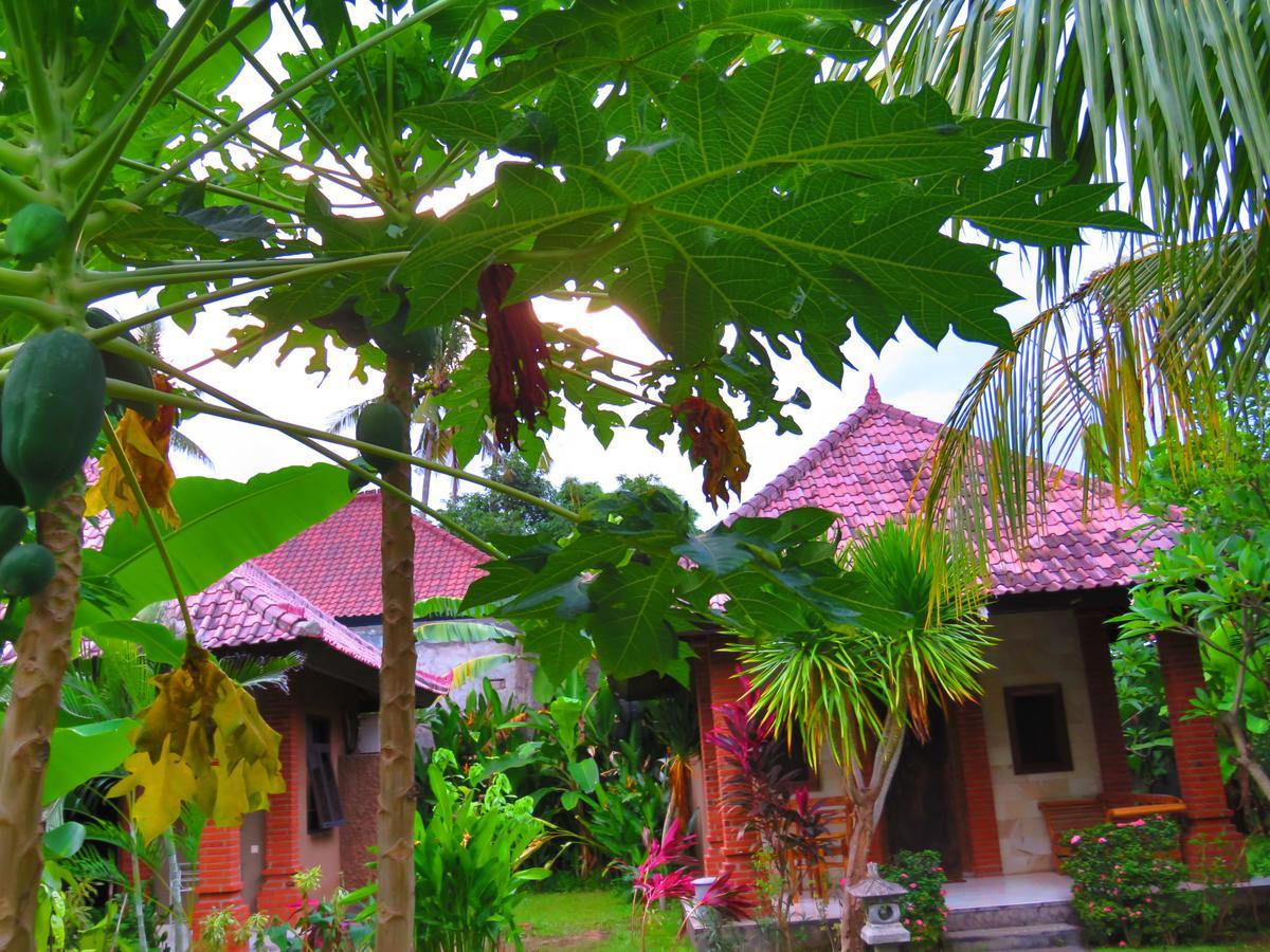 Suka Sari Cottages Pemuteran Zewnętrze zdjęcie